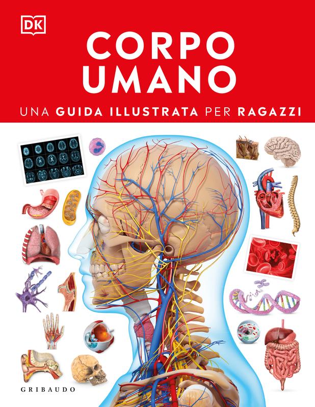 Corpo umano