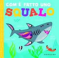 Com'è fatto uno squalo