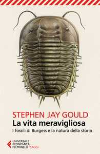 La vita meravigliosa