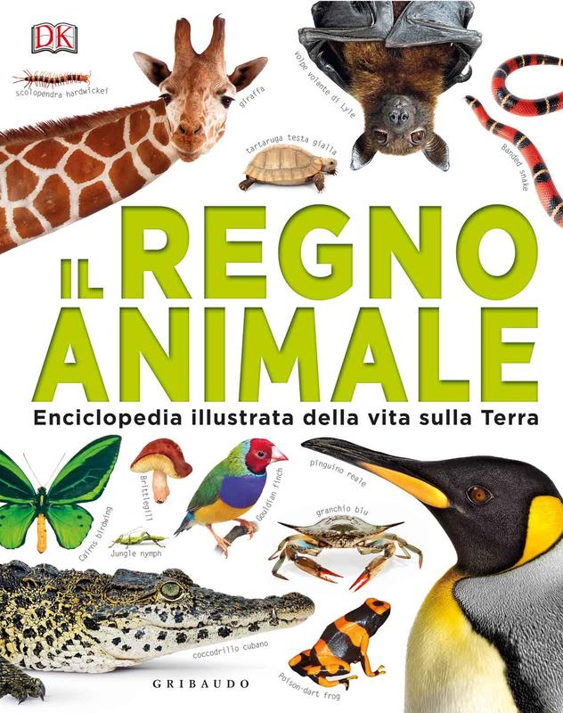 Il regno animale