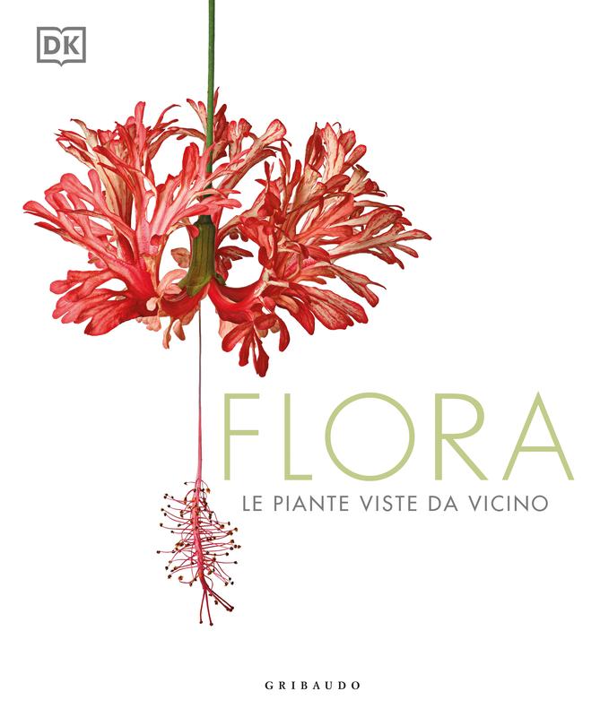 Flora NE