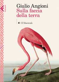 Feltrinelli Indies