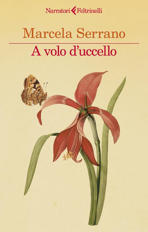 A volo d'uccello