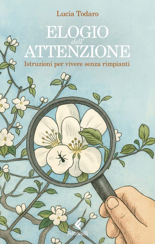 Elogio dell'attenzione